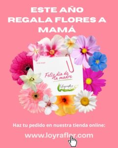 Día de la Madre 2026: sorprende con flores únicas