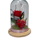 Cúpula con rosa preservada roja - Bella y Bestia