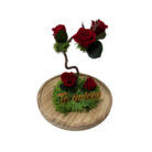 Cúpula con Jardín Vertical y Rosas Rojas Preservadas