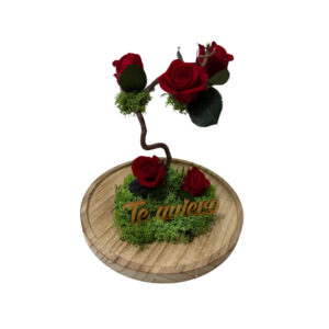 Cúpula con Jardín Vertical y Rosas Rojas Preservadas