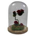 Cúpula con Jardín Vertical y Rosas Rojas Preservadas