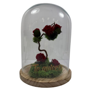 Cúpula con Jardín Vertical y Rosas Rojas Preservadas