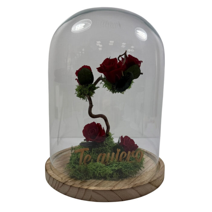 Cúpula con Jardín Vertical y Rosas Rojas Preservadas