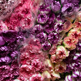 Soluciones completas para floristerías y profesionales del sector floral