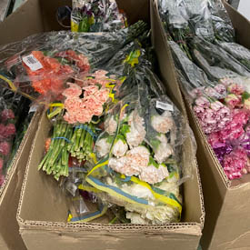 Flores de productores nacionales y de países líderes en floricultura